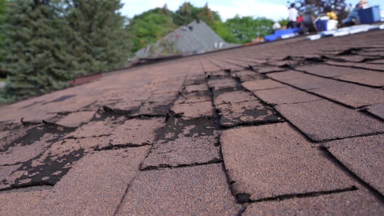 Best Sheet Metal Roofing  in Muscoda, WI