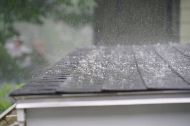 Best Roof Insulation Installation  in Muscoda, WI