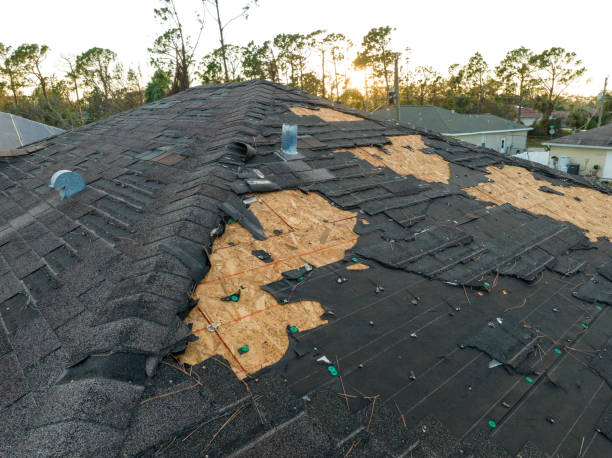 Best Storm Damage Roof Repair  in Muscoda, WI